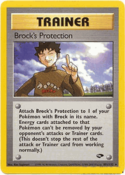 101 Brock's Protection